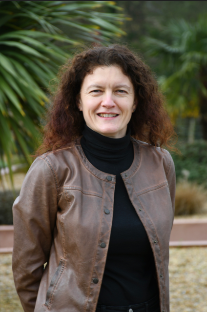 Capture d'écran 2026 03 24 110634