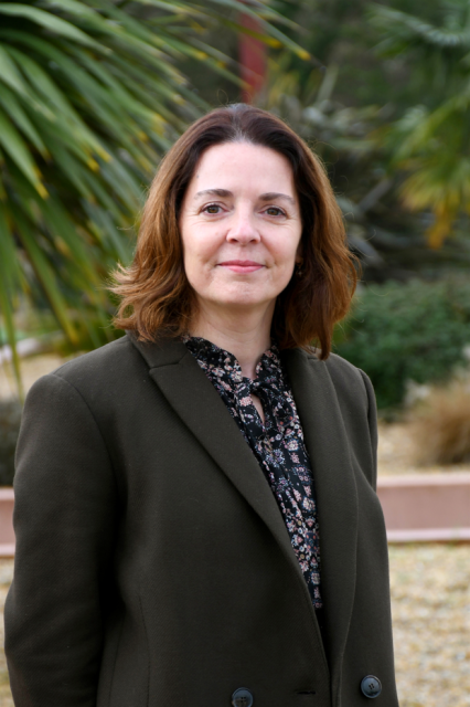 Capture d'écran 2026 03 24 111134