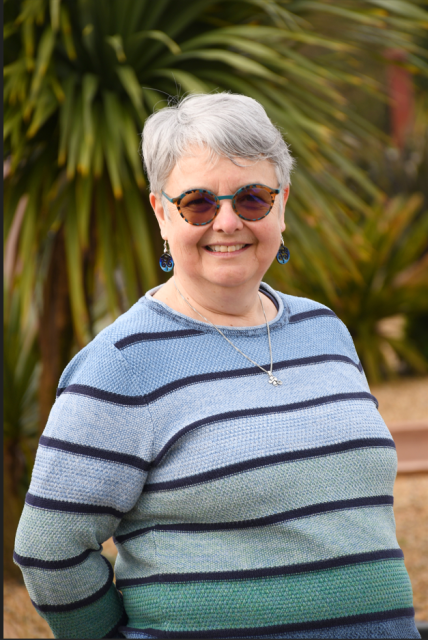 Capture d'écran 2026 03 24 111200