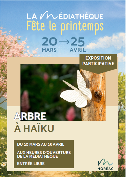 Capture d'écran 2026 03 06 111450